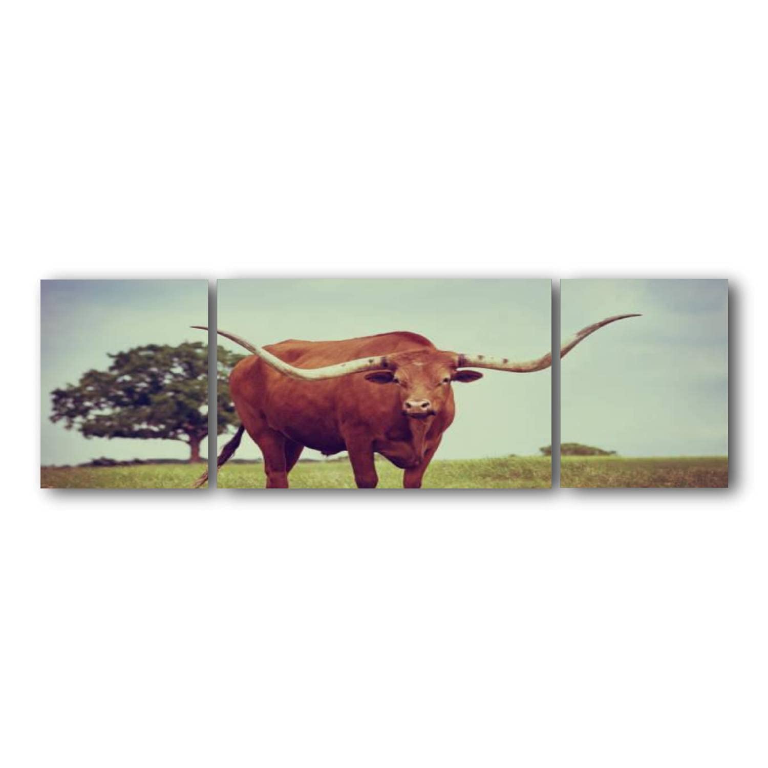 Texas Longhorn Grazing on Spring Pasture - Framed Giclee Canvas Wall Art Print for Living Room & Office Decor | Western Cowboy Theme Home Decoration | Ready to Hang Picture for Ranch Style Interior