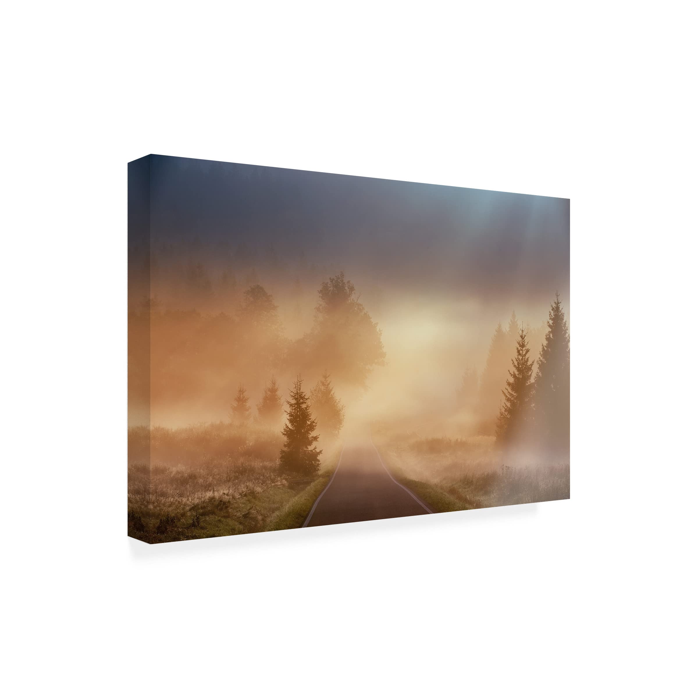 Trademark Fine Art 'Magical Morning' Canvas Wall Art Print by Martin Motl - Nature Landscape Painting for Living Room, Bedroom & Office Decor
