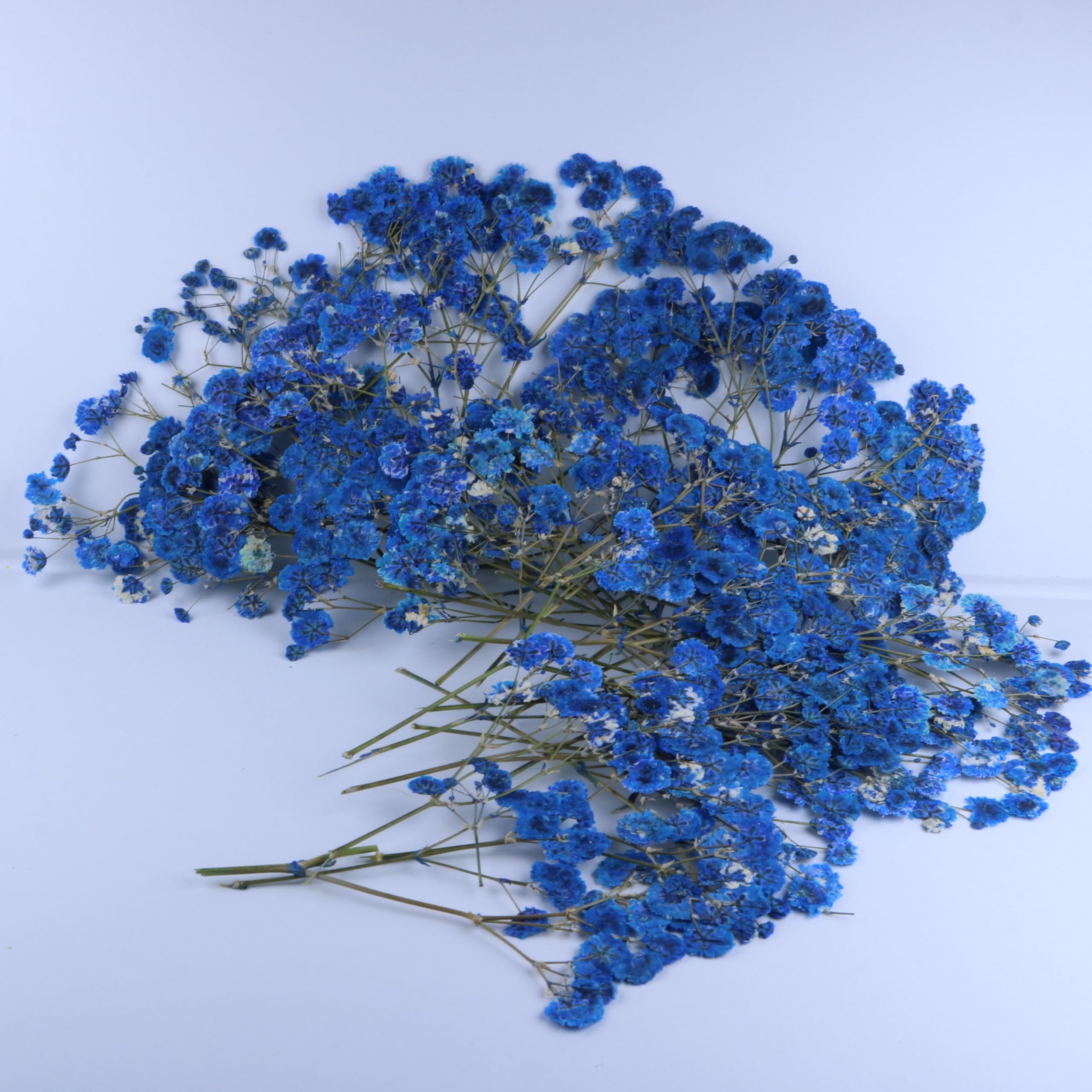 50 Pcs Natural Sapphire Blue Dried Baby's Breath Flowers Bulk - Real Gypsophila Pressed Flowers for DIY Resin Art, Candle Making, Wedding Decor & Scrapbooking - Includes Free Tweezers Set