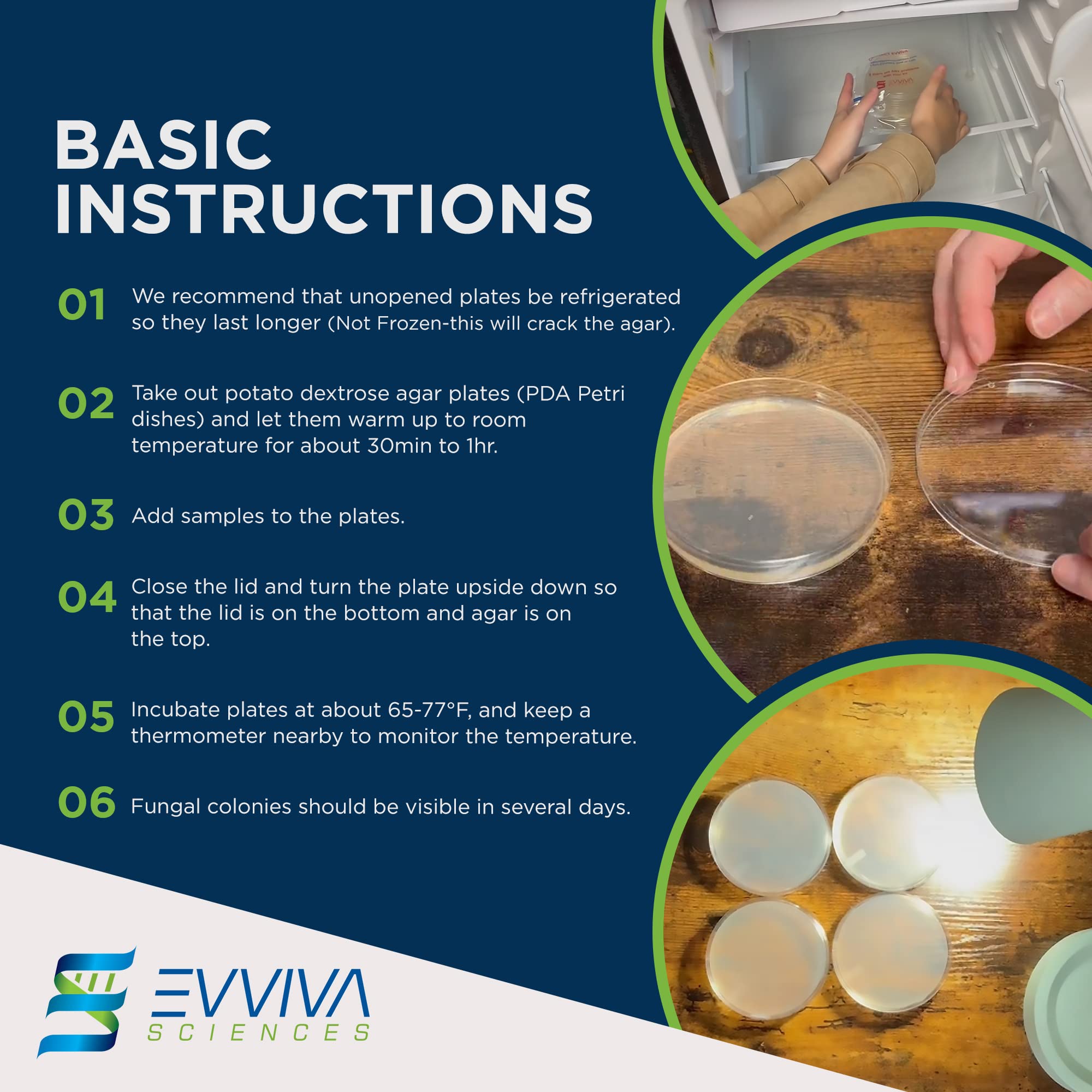 Evviva Sciences Potato Dextrose Agar Petri Dishes - Prepoured PDA for Mushroom Cultivation, Home Science Experiments & School Projects - Ready-to-Use Petri Dishes with Agar for Lab Testing & Mycology Studies