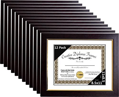 Pack of 12