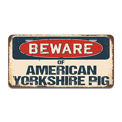 Beware of American Yorkshire Pig