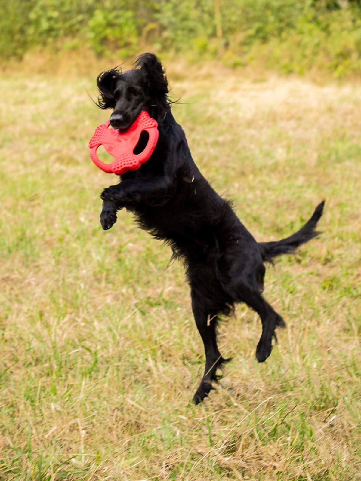 GiGwi Flying Tug Dog Toy - Durable Interactive Frisbee & Rubber Chew Toy for Medium & Large Dogs - Perfect for Fetch, Tug-of-War & Outdoor Play (Red)
