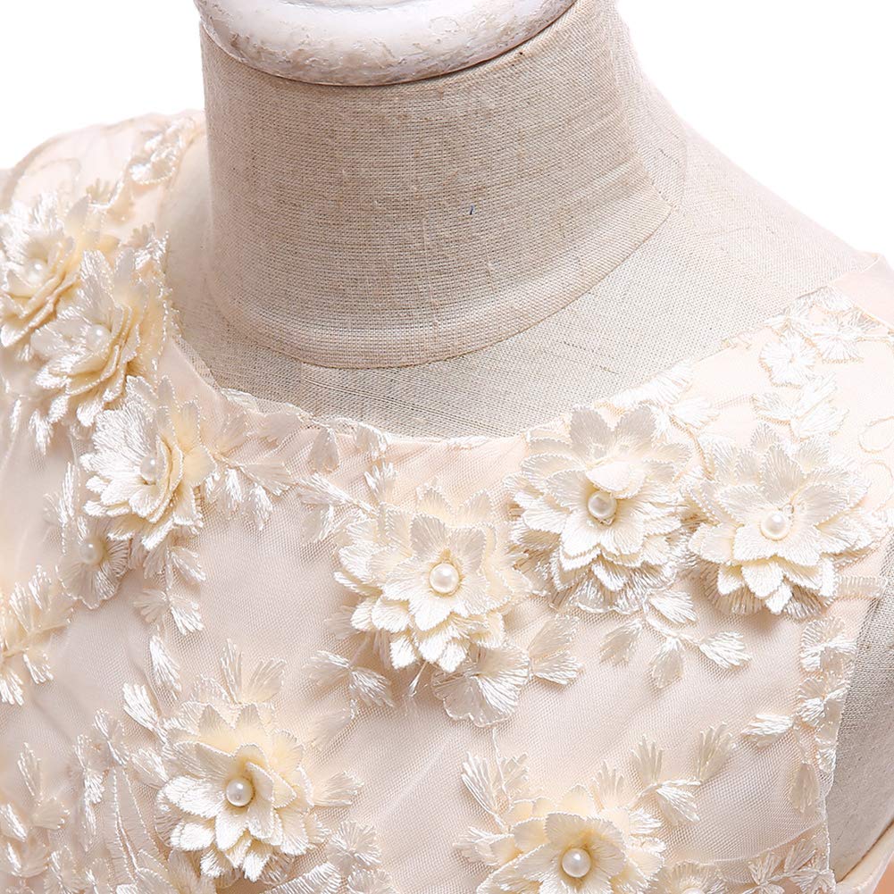 Flower Baby Girls Princess Dress - Embroidered Wedding Party Birthday Pageant Prom Gowns for Formal Occasions | Perfect for Weddings, Birthday Parties, Pageants & Special Events