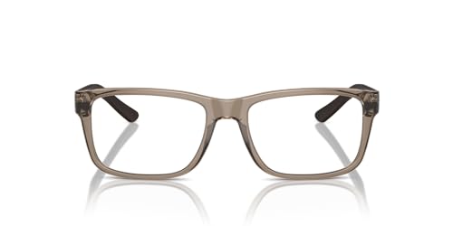 Shiny Transparent Brown/Demo Lens