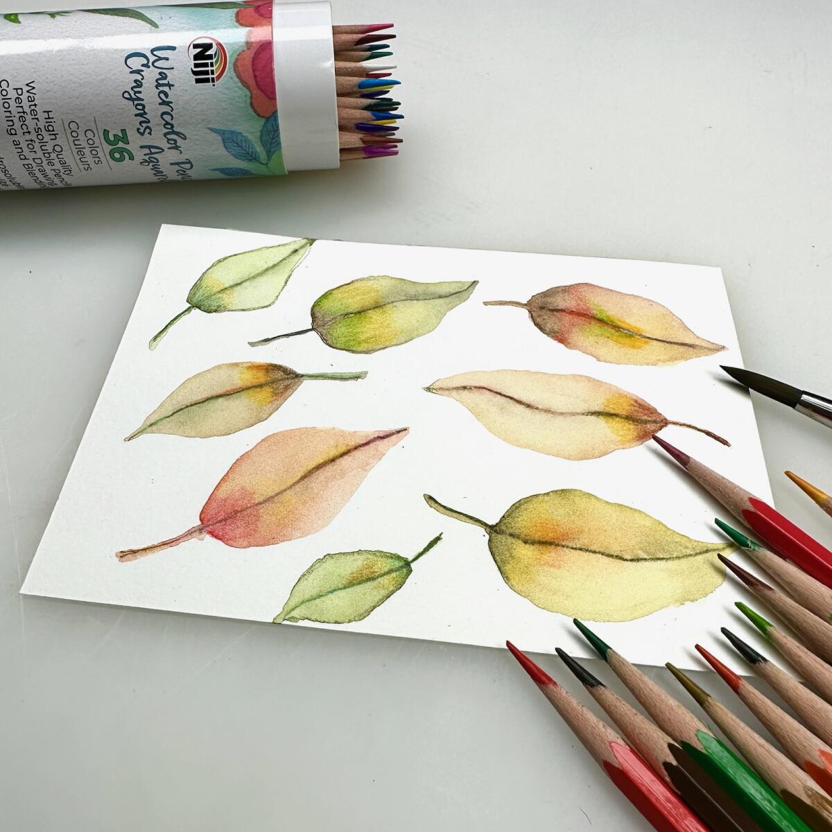 Niji Watercolor Paper Pad - Hot Press (NHP 5) - 100% Cotton, Acid-Free, 140lb/300gsm - Perfect for Watercolor Painting, Calligraphy & Mixed Media Art