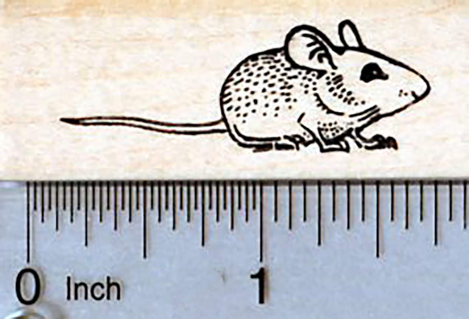 Custom Mouse Rubber Stamp - Personalized Office Stamp for Documents, Crafts & Scrapbooking - Perfect for DIY Projects, Business Use & Gift Giving