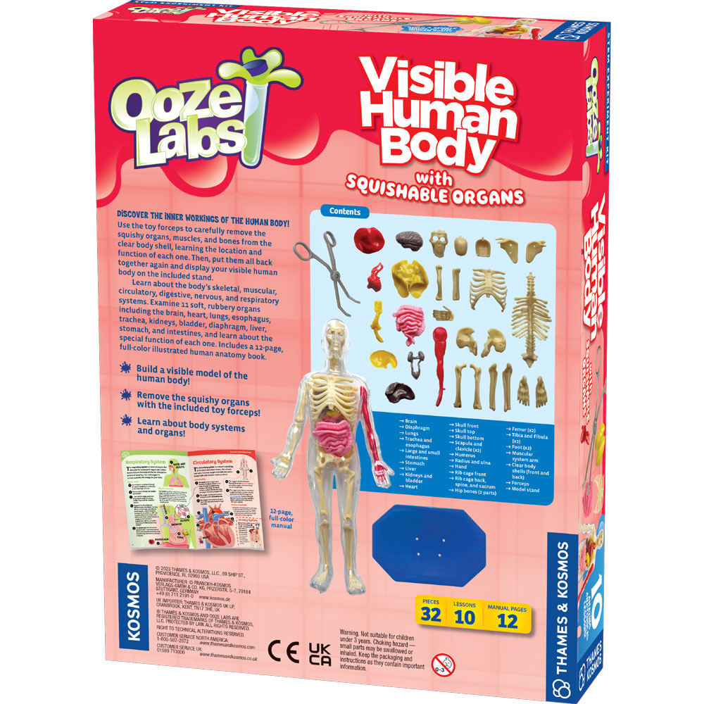 Ooze Labs Visible Human Body Model with Removable Squishable Organs - STEM Educational Toy for Kids, Science Classroom & Medical Learning