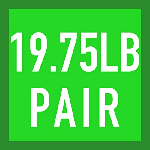 19.75LB Plates