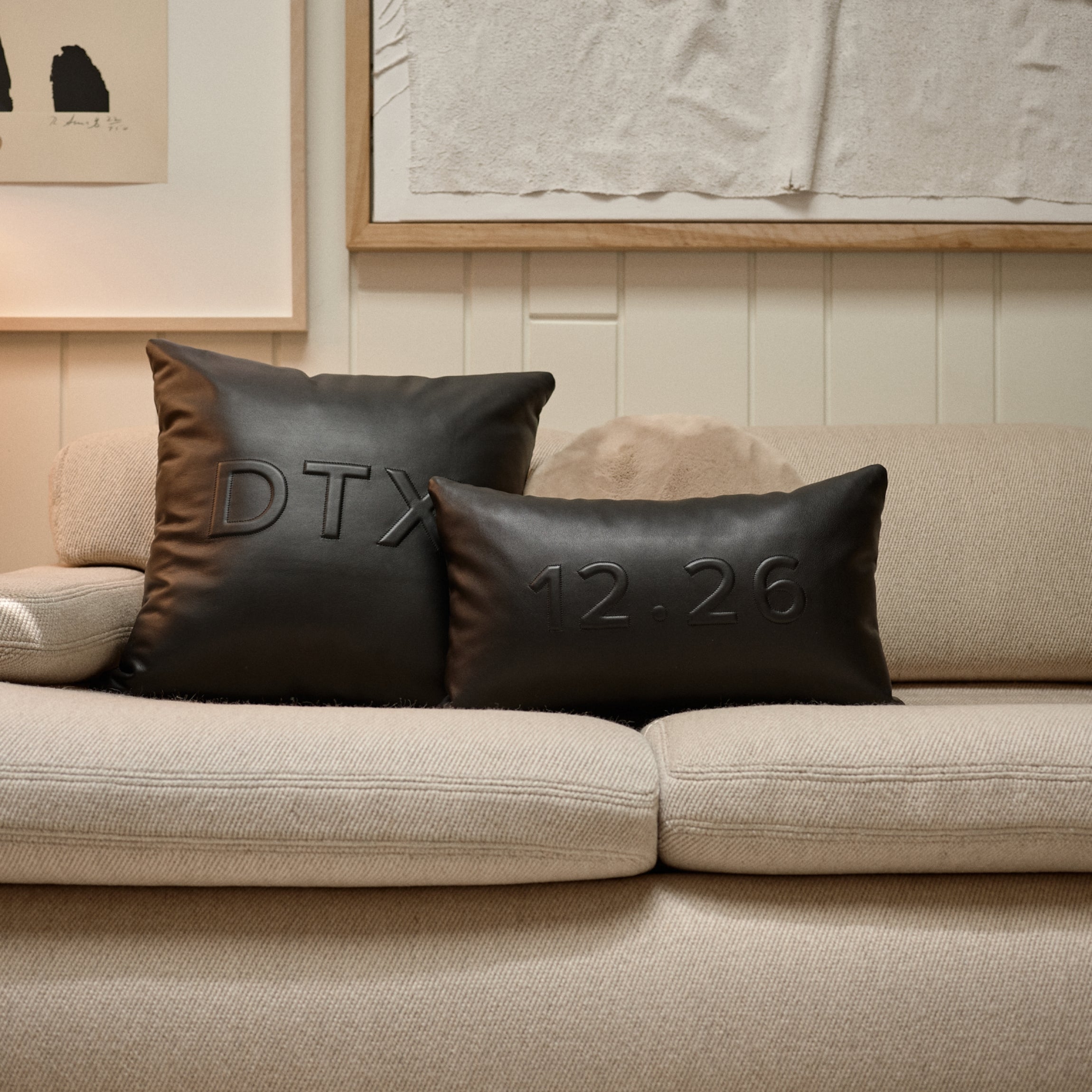 20x20 Square Pillow Cover - Black Onyx Velvet Decorative Throw Pillow for Sofa, Bed & Couch - Luxury Home Decor Accent for Living Room, Bedroom & Dorm