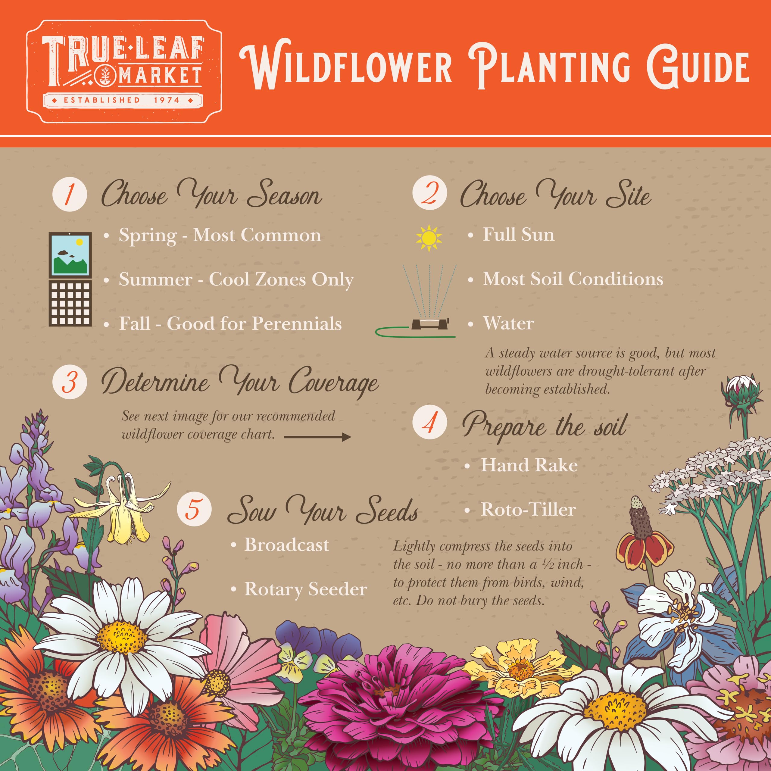 All Annual Wildflower Mix Seeds for Planting - 1 Lb ~16,000+ Seeds - 21 Varieties Including California Poppy, Indian Blanket & Scarlet Flax - Attracts Bees & Butterflies - Bulk Wildflower Seeds for Gardens, Meadows & Pollinator Habitats
