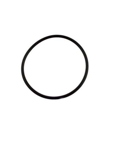 Pentair WhisperFlo Pinnacle 350013 O-318 Replacement Pool Pump Lid O-Ring by Aosnom - Durable Seal for Swimming Pool Maintenance & Repair