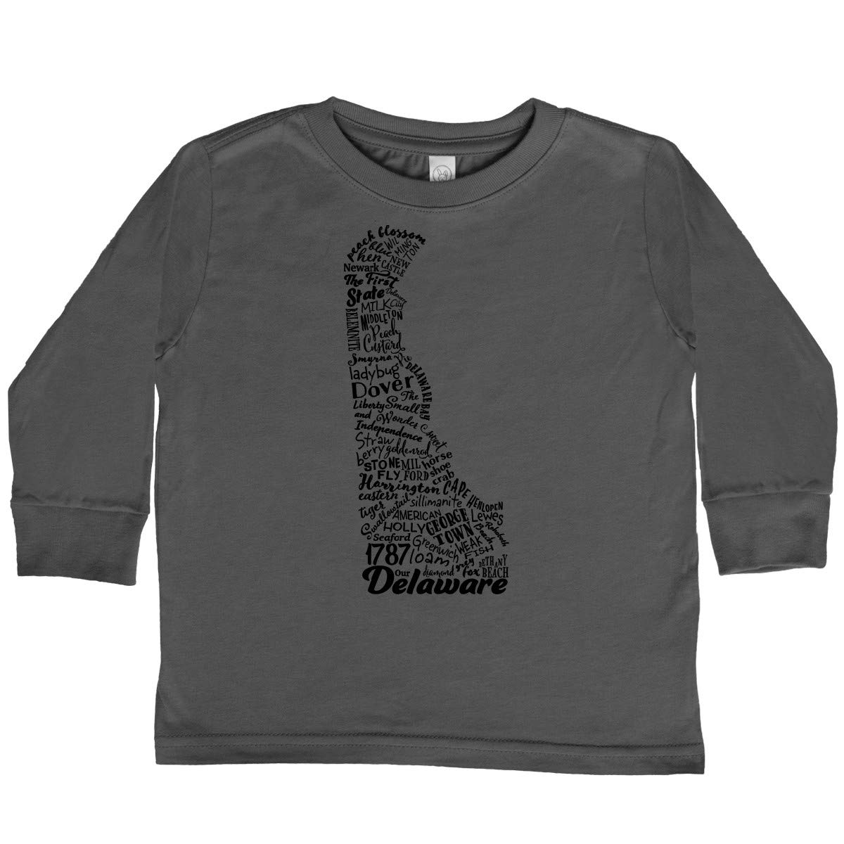 Inktastic Delaware State Word Salad Toddler Long Sleeve T-Shirt - Cute Graphic Tee for Boys & Girls - Perfect for Playdates, Daycare & Family Outings