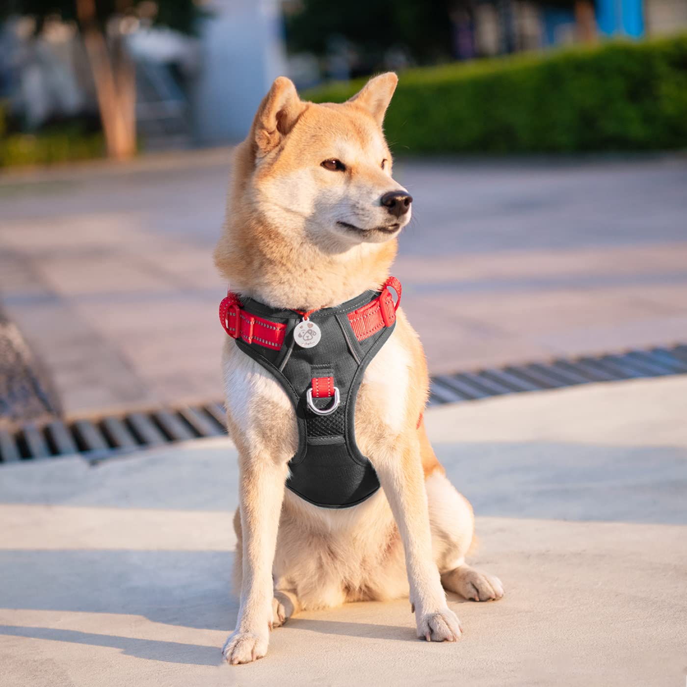PHOEPET No Pull Dog Harness - Reflective Adjustable Pet Vest with Soft Training Handle & Metal Clips for Small Medium Large Dogs (Black/Red, Medium) - Perfect for Walking, Running, and Outdoor Adventures