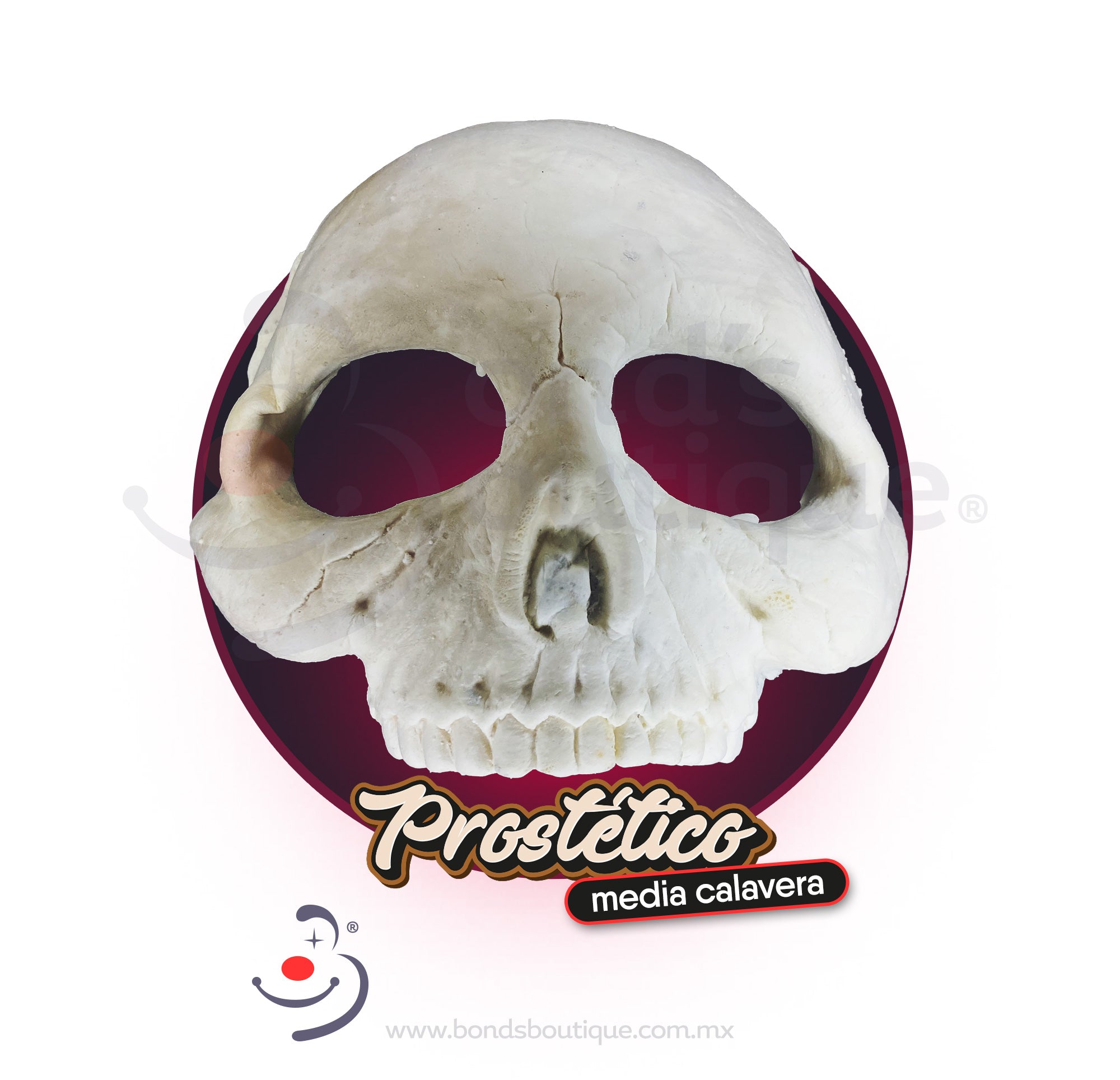 Prosthetic Media Calavera Skull - Perfect for Halloween Decor, Day of the Dead Celebrations & Theatrical Makeup