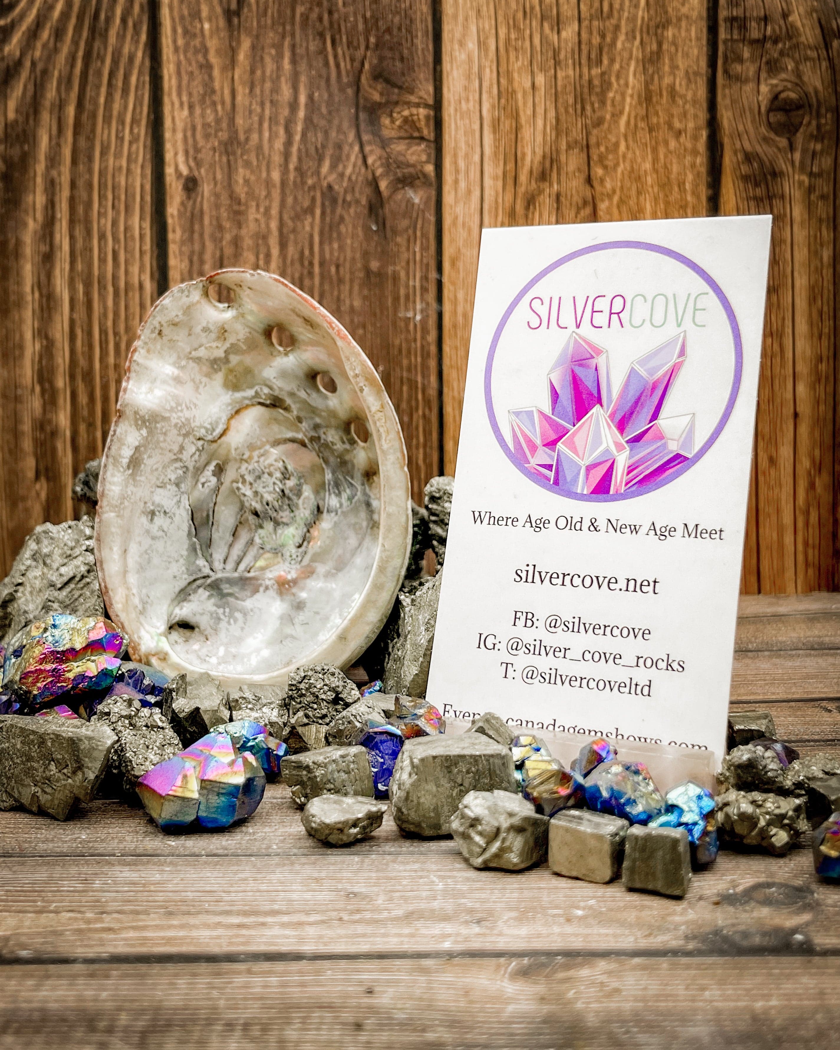 Natural Dried Abalone Shells - Single Piece, Sustainably Sourced | Perfect for DIY Crafts, Beach Wedding Decor & Home Decoration