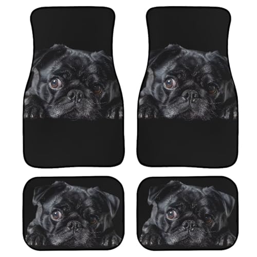 Black Pug