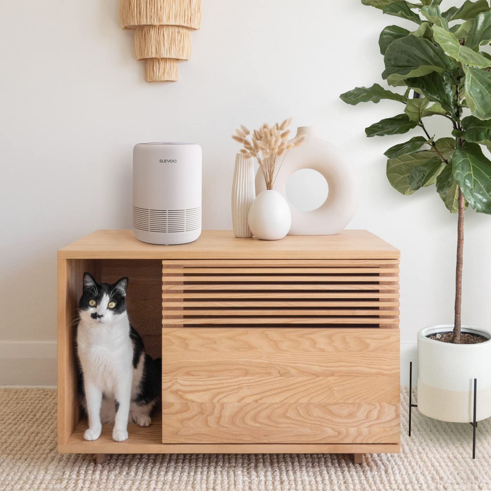 BS-01 White H13 True HEPA Air Purifier for Bedroom - Removes 99.97% of Smoke, Dust, Pollen & Pet Dander | Fragrance Sponge, Night Light & Timer | Ideal for Homes with Pets, Smokers & Allergy Sufferers | Perfect for Night Use & Small Rooms