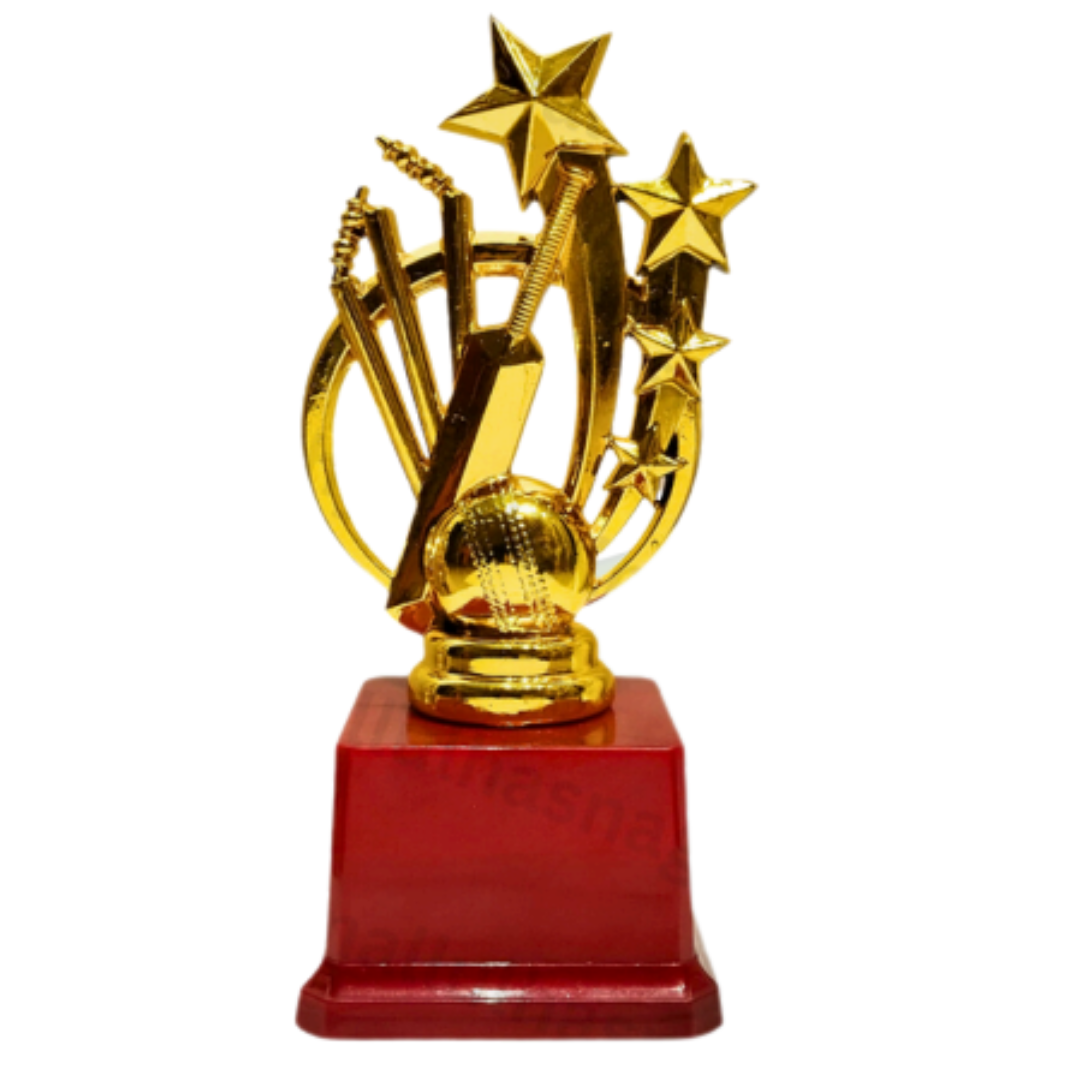 Raydn 7-Inch Cricket Trophy with Stars, Stump, Ball & Bat - Perfect for Awards, Tournaments & Sports Decor