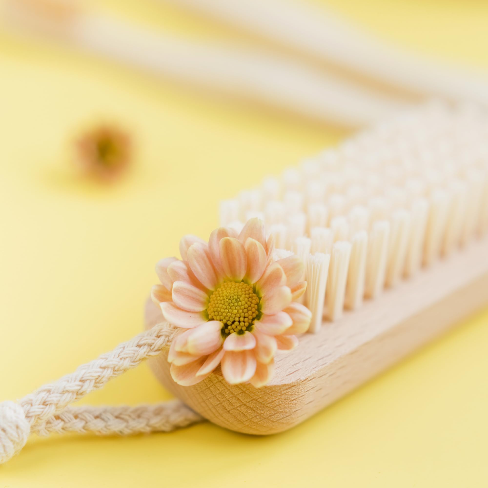 Wooden Nail Brush Set - 4 Double-Sided Hygienic Hand & Cleaning Brushes with Firm Bristles for Nails & Toes - Perfect for Home & Salon Use
