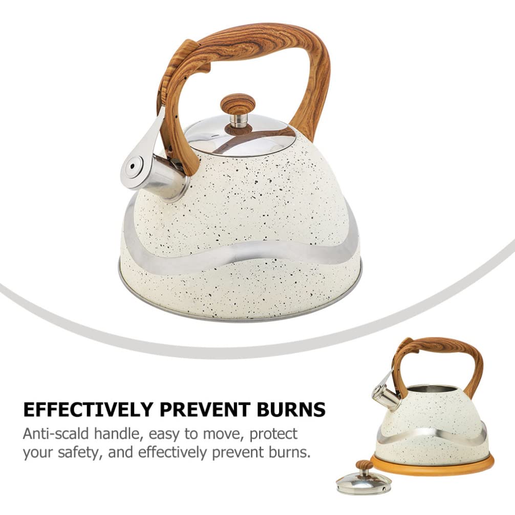 HEMOTON 1pc Stainless Steel Whistling Tea Kettle - Stovetop Whistle Kettle for Gas & Electric Stoves - Classic Tea Pot for Home, Kitchen & Camping - Perfect for Boiling Water, Making Tea & Coffee