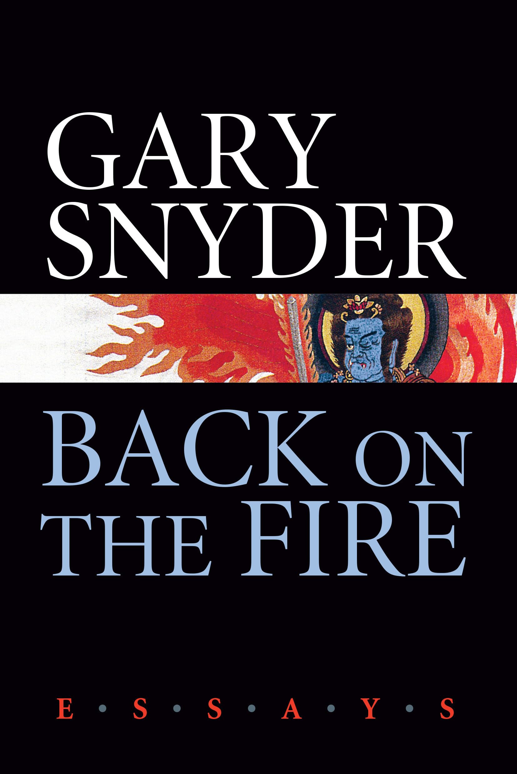 Back on the Fire: Thought-Provoking Essays Collection - Perfect for Book Clubs, Academic Study & Personal Reflection