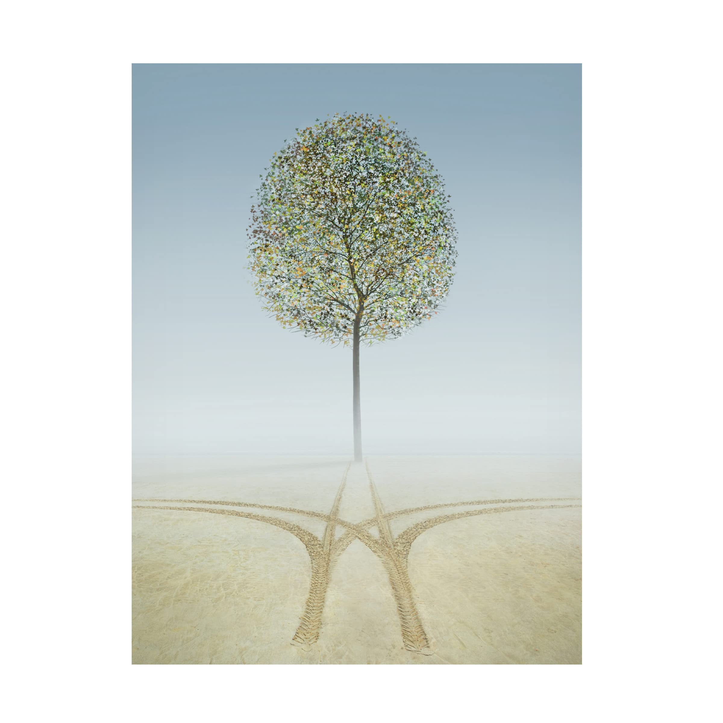 Ben Heine 'Eden' Canvas Wall Art Print - Modern Home Decor for Living Room, Bedroom & Office - Trademark Fine Art Collection