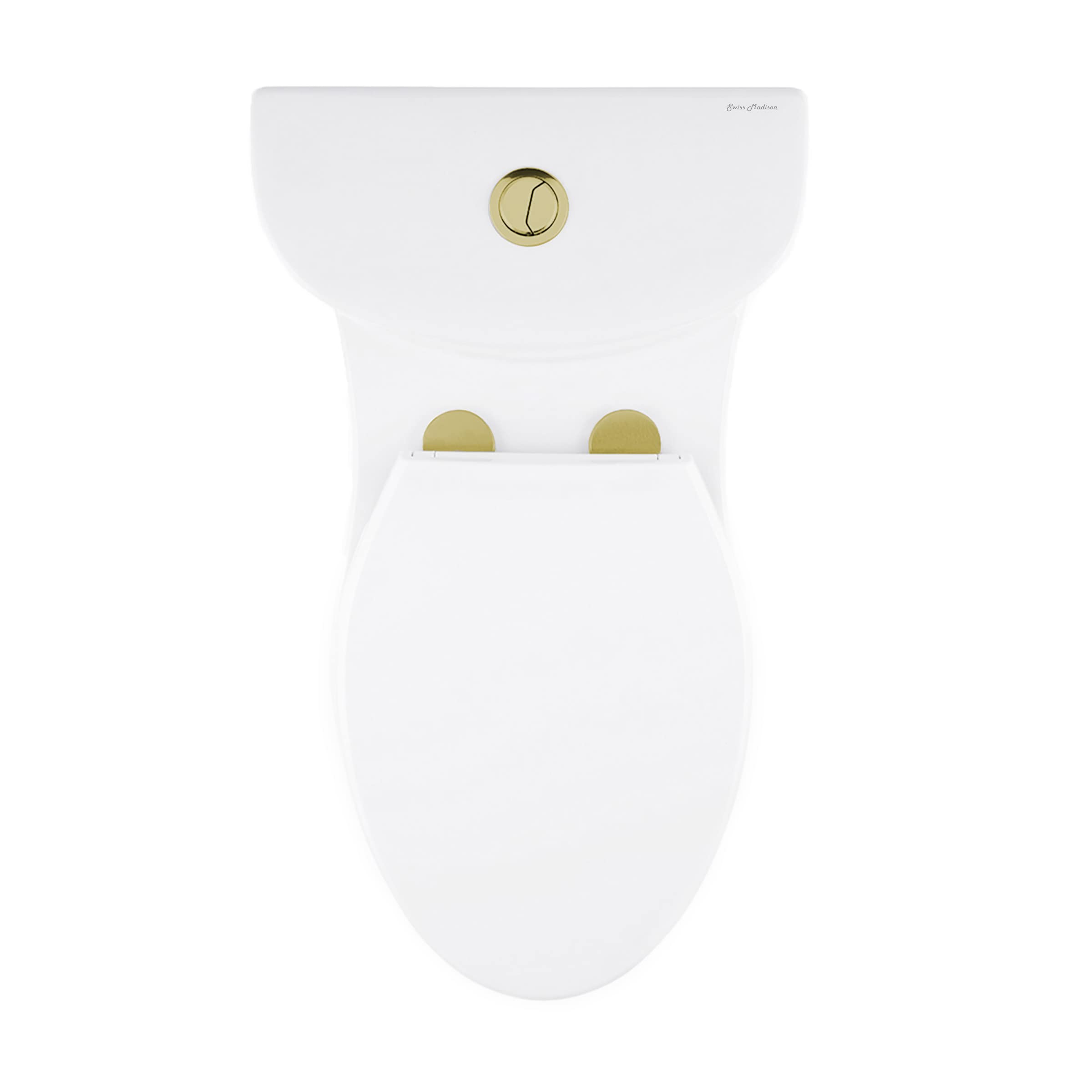 Premium One Piece Elongated Toilet with Dual Flush Technology - 1.1/1.6 GPF, Brushed Gold Hardware - Perfect for Modern Bathrooms & Luxury Homes