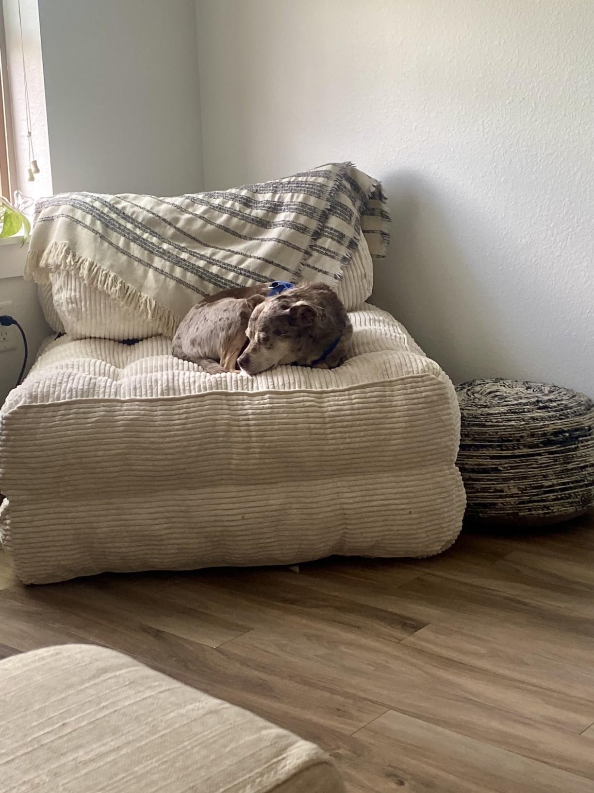 MAXYOYO Corduroy Convertible Sofa Bed - Sleeper Chair with Pillow in Beige | Space-Saving Furniture for Small Apartments, Guest Rooms & Home Offices