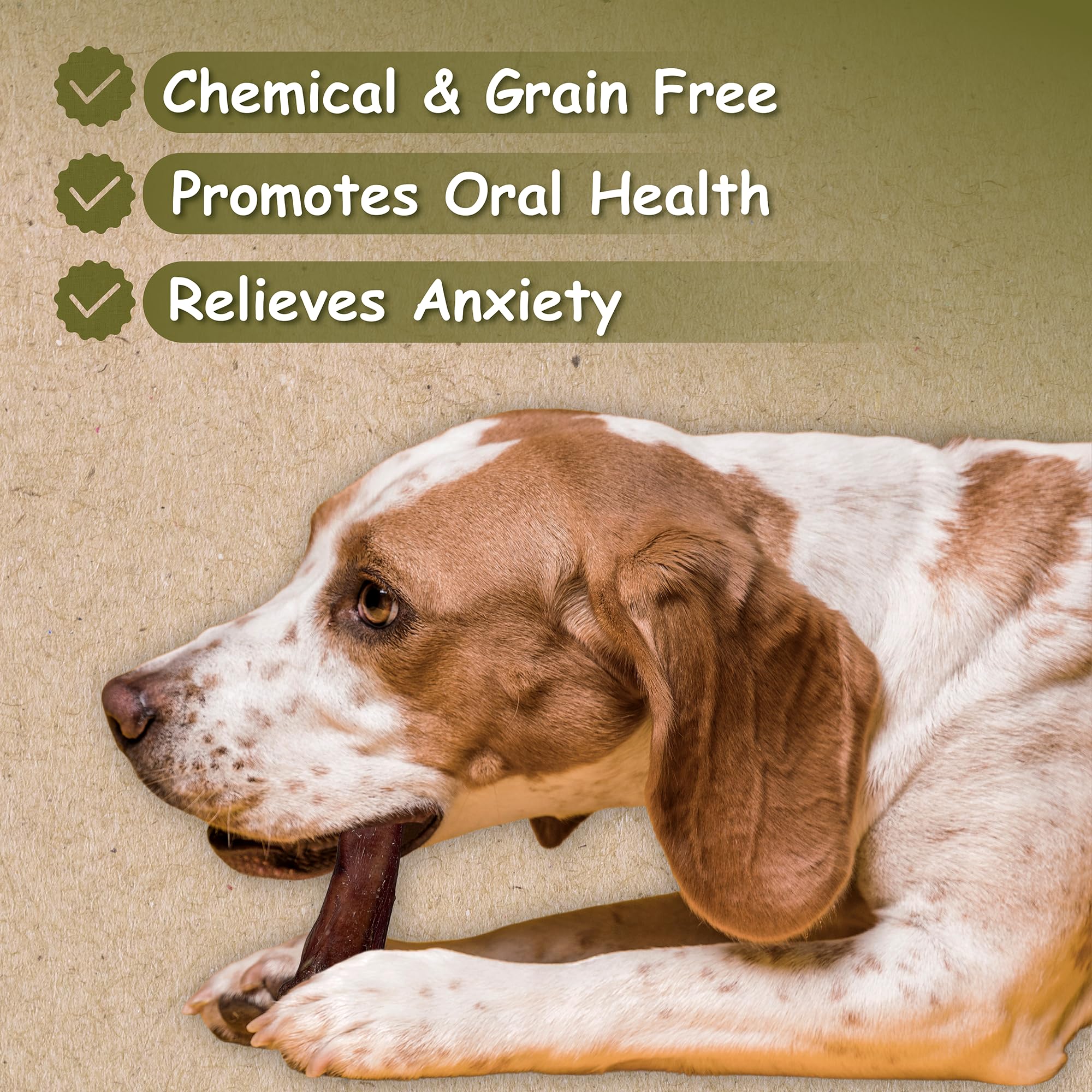 Premium 12 Inch Bully Sticks for Dogs - 100% Natural Grass-Fed Beef Chews | High Protein, Grain-Free, Digestible Dog Treats | Supports Dental Health & Fresh Breath | 10 Pack - Perfect for Training, Teething Puppies & Aggressive Chewers