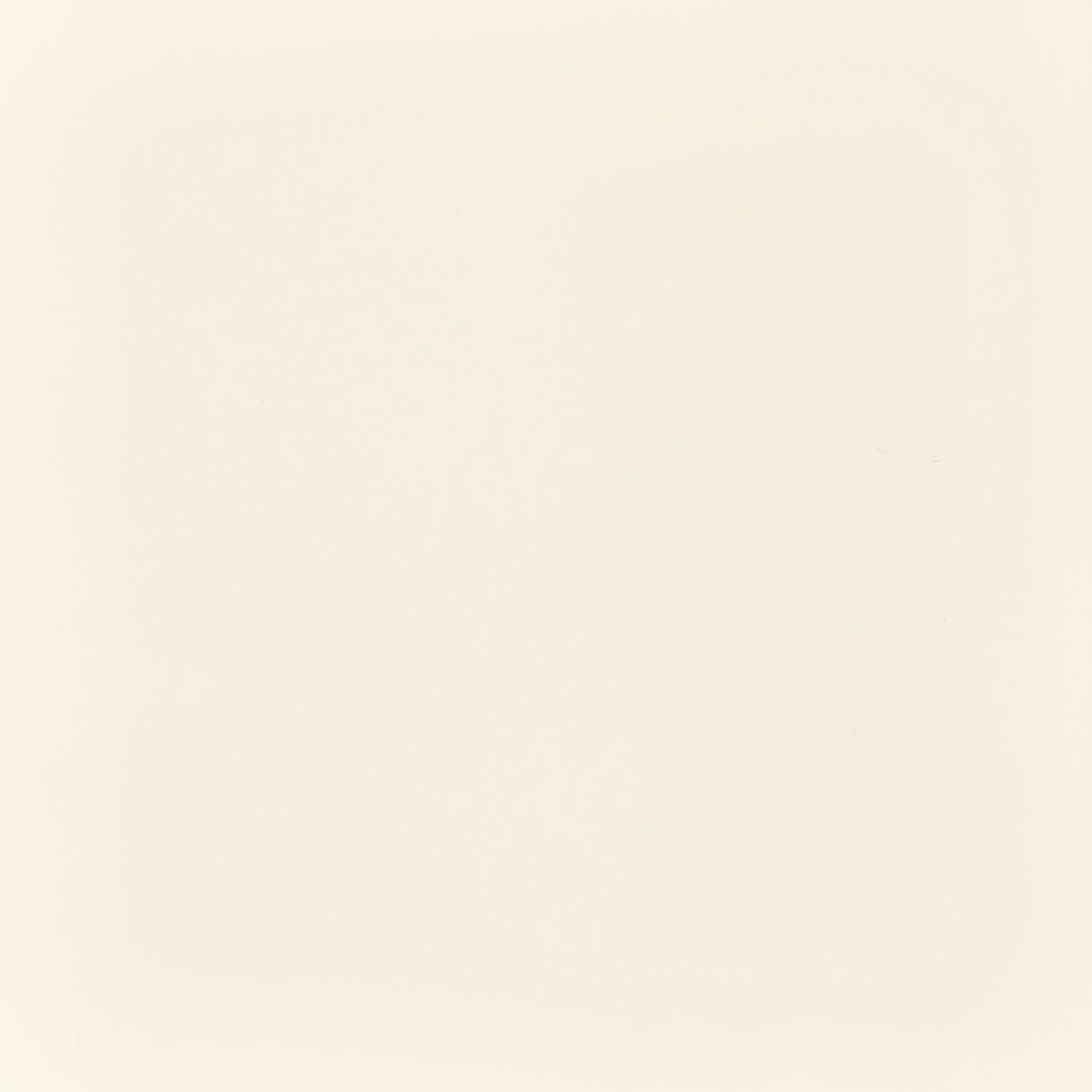Ivory Lacquer - Premium High Gloss Finish for Wood, Metal & Furniture - Perfect for Home Decor & DIY Projects