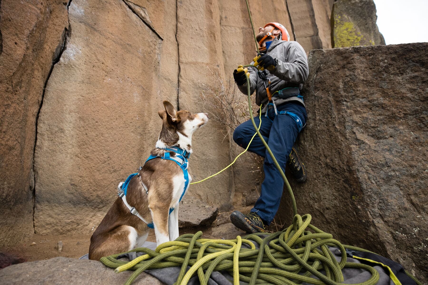 Ruffwear Hi & Light® Ultralight Dog Collar in Mint Green (Sage Green) - Perfect for Hiking, Walking & Outdoor Adventures