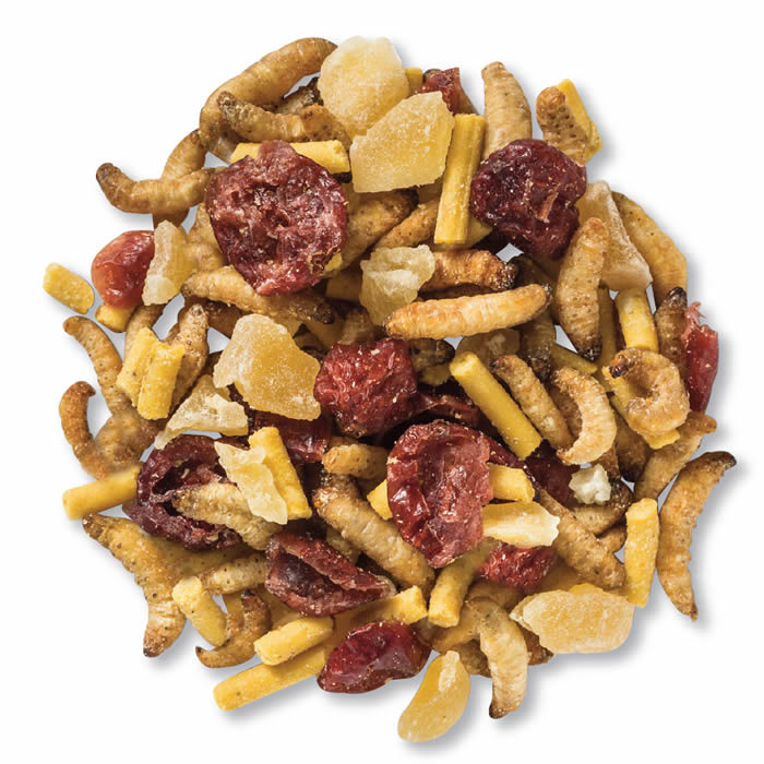 Premium Energizer Trail Mix Wild Bird Food - High Energy Seed Blend for Wild Birds - Perfect for Backyard Feeders, Bird Watching & Outdoor Adventures
