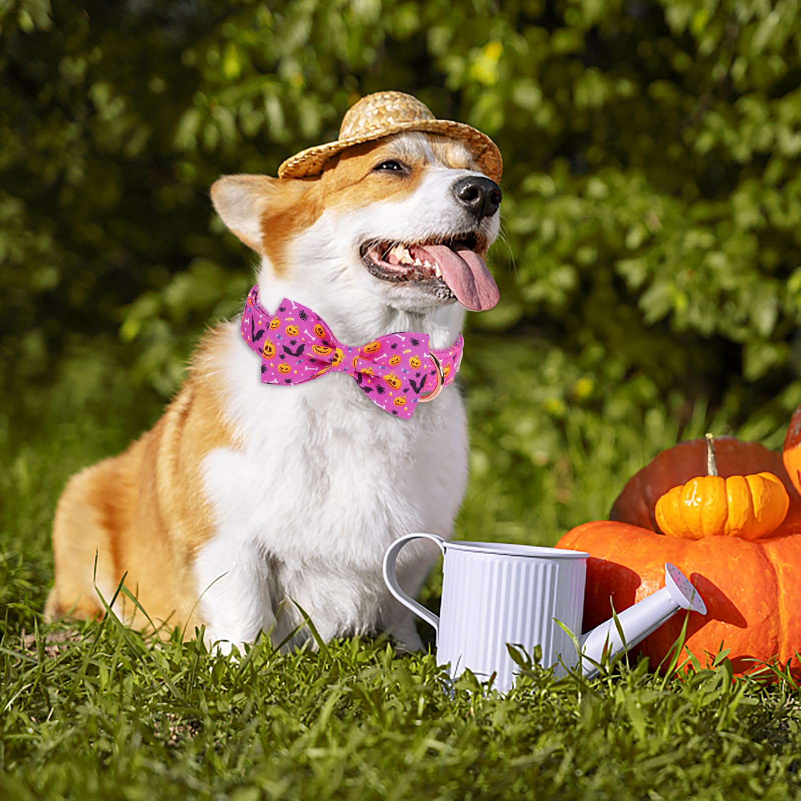 Halloween Dog Collar - Purple Pumpkin Bat Pattern Bow Tie Collar with Metal Buckle, Adjustable 16-26 Inch for Large Dogs | Perfect for Halloween Costumes & Pet Parties