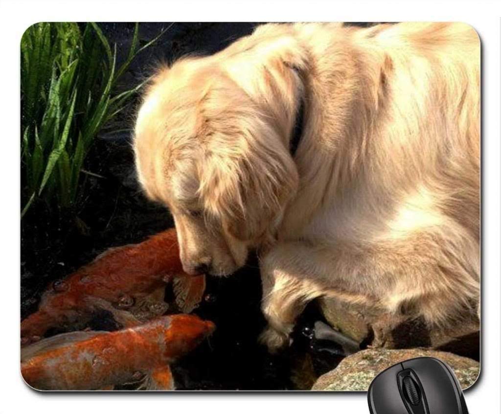Funny Cat & Dog Mouse Pad - 