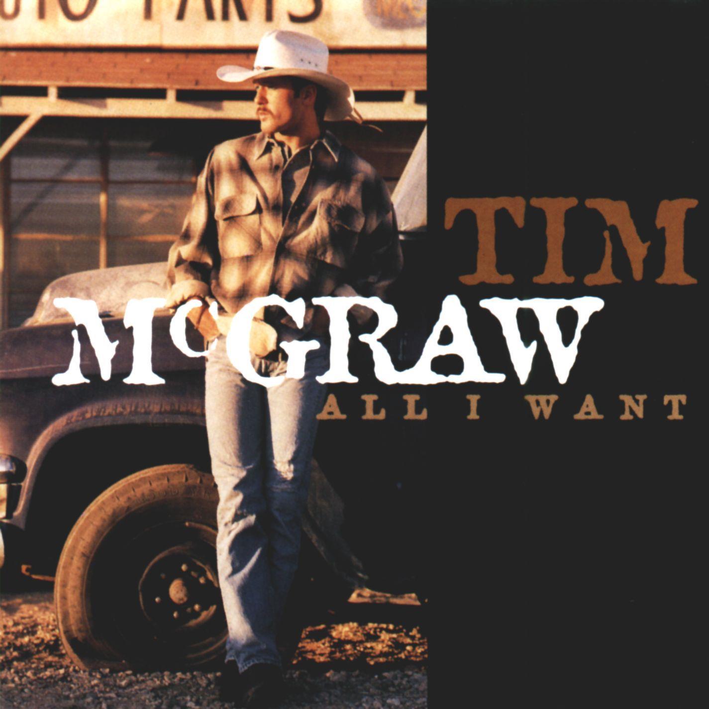 All I Want (Reissue) - Vinyl Record | Classic Rock Album for Collectors & Music Lovers | Perfect for Home Listening & Gifts