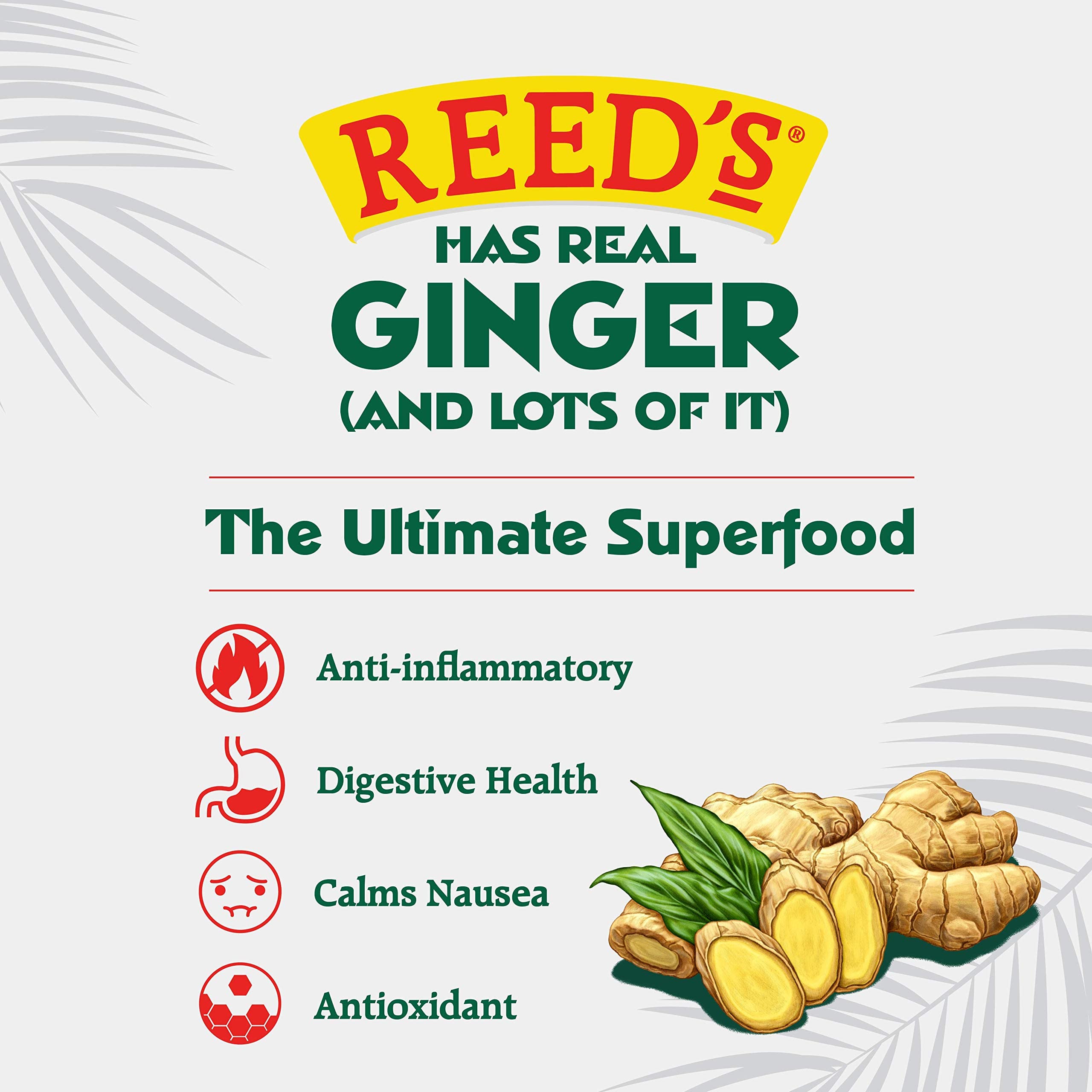 Reed's Zero Sugar Extra Ginger Beer - 24 Pack of 12oz Cans | All-Natural Craft Ginger Soda with Fresh Ginger Root | Perfect for Mocktails, Cocktails & Healthy Refreshment