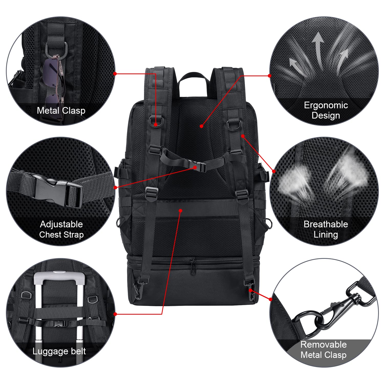 BERTASCHE 17