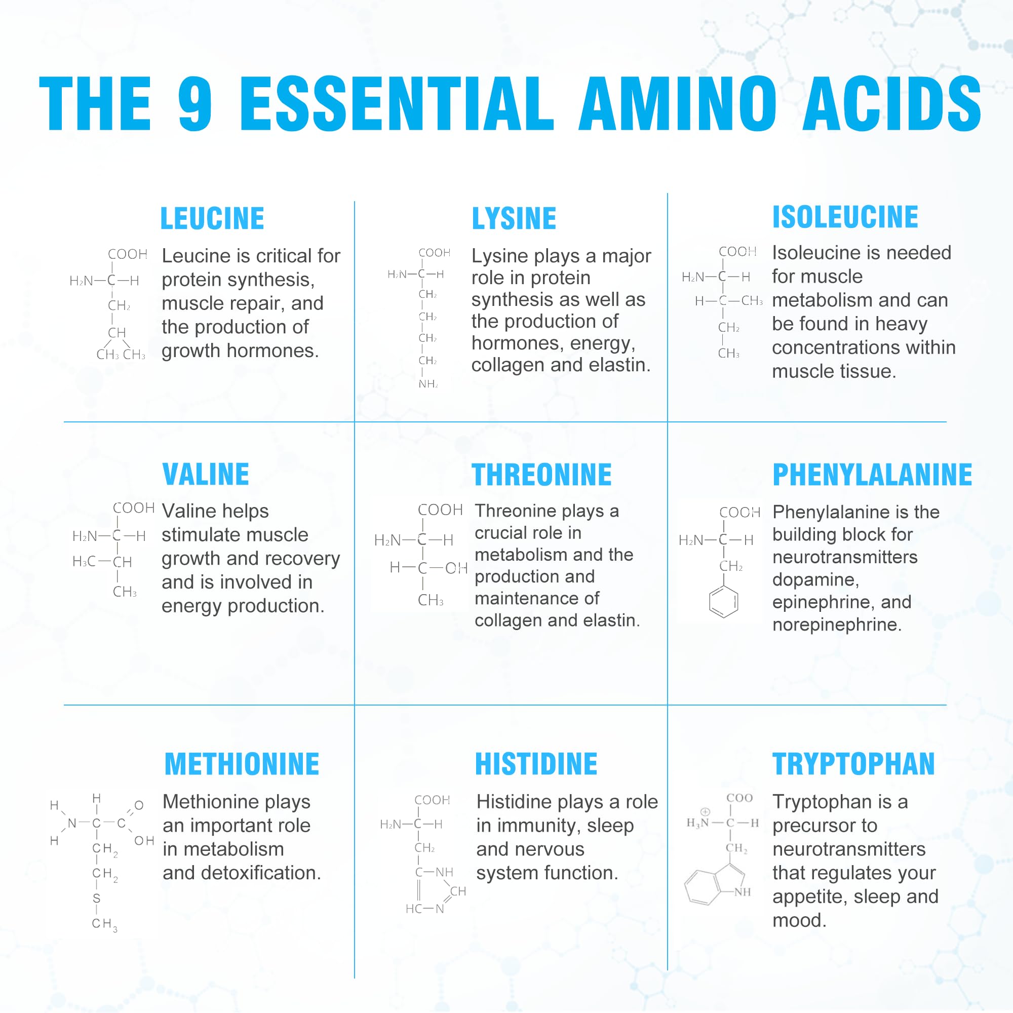 Premium 100% Essential Amino Acids Powder - Berry Flavor, 60 Servings (5g Each) | Complete 9 EAAs & BCAAs (L-Leucine, L-Isoleucine, L-Valine) | Muscle Recovery & Energy Supplement for Men & Women | Post-Workout, Fitness & Active Lifestyle Support