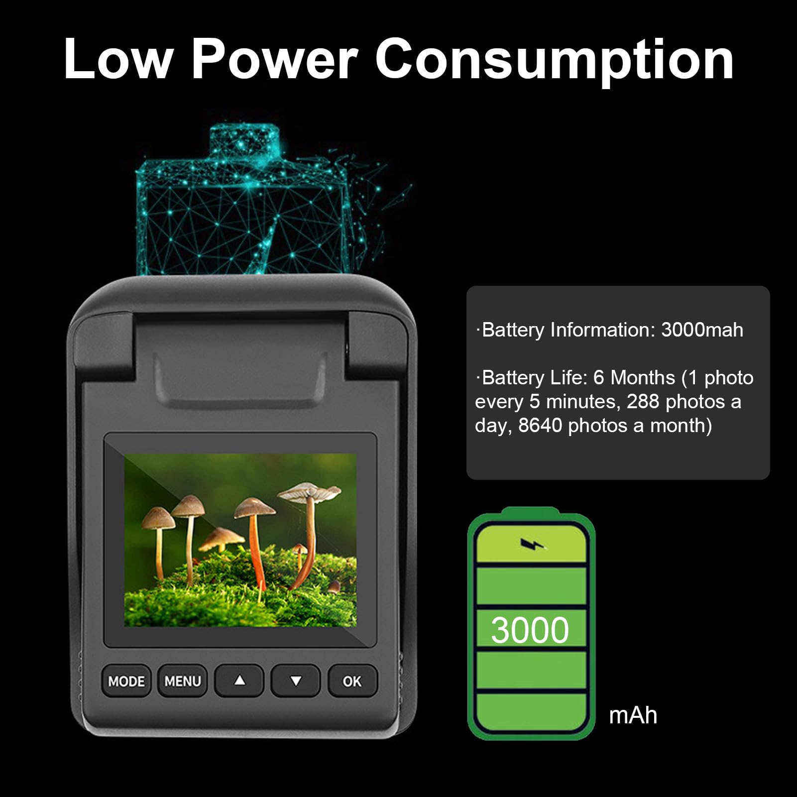 4K Time Lapse Camera with Real-Time Preview & Timer - 90° Flip Angle, Manual Macro Focus for Flowers, Plants, Weather - Indoor/Outdoor Photography for Nature, Gardening, and Scientific Observation