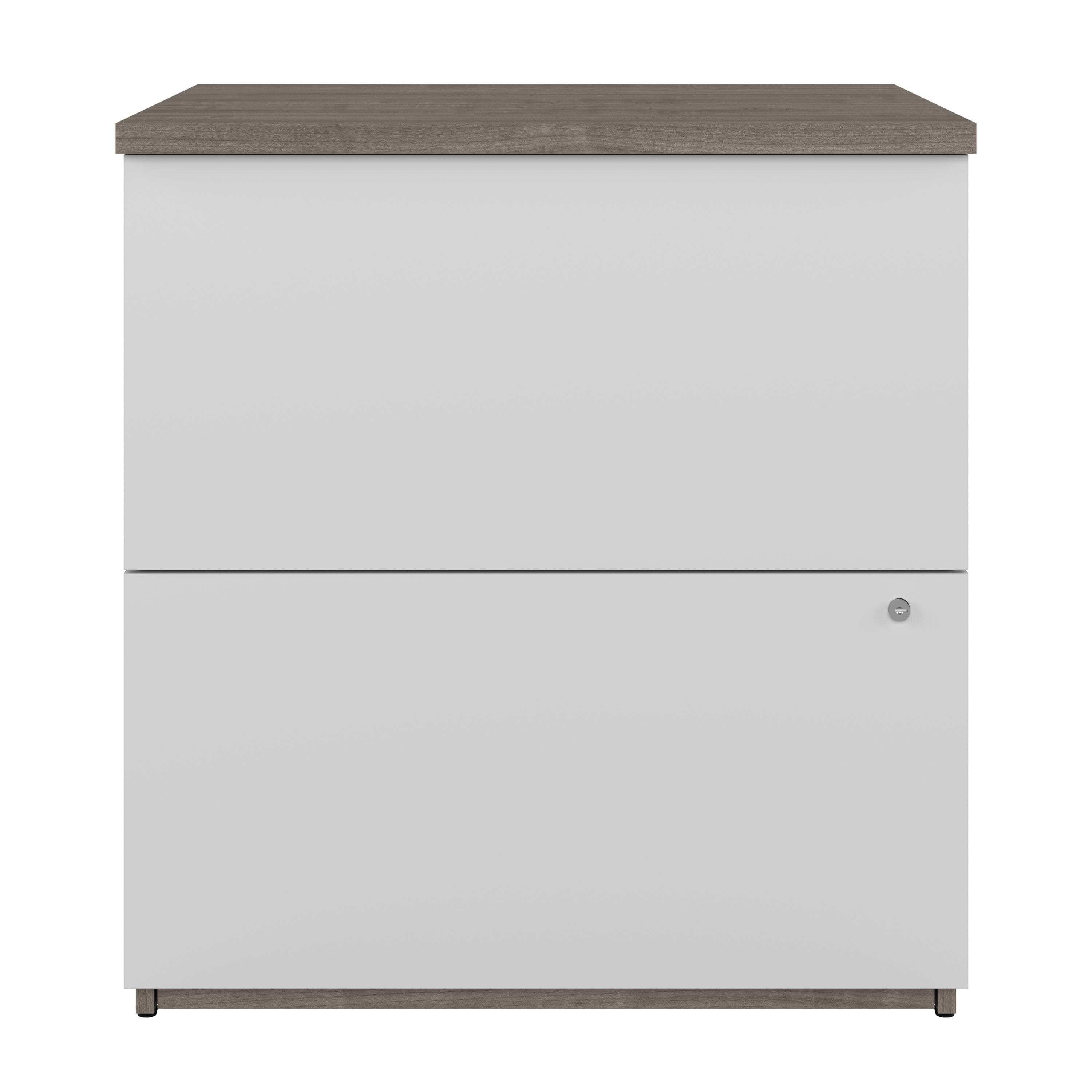 28W Standard 2-Drawer Lateral File Cabinet - 5 Color Options for Office & Home Organization | Durable Metal Filing Cabinet for Documents & Folders