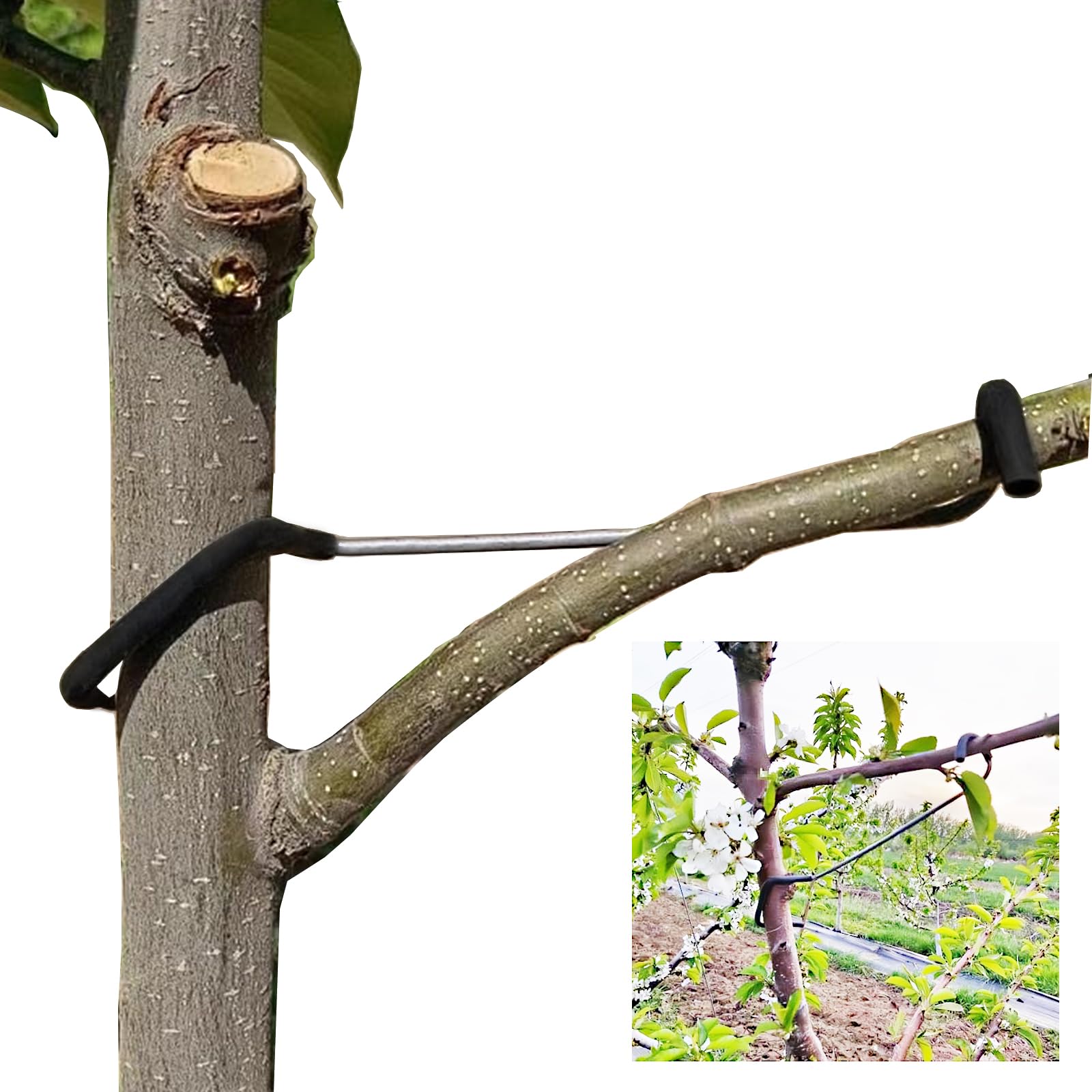 20PCS Fruit Tree Branch Spreader - 7 Inch Durable Tree Limb Support for Apple, Peach & Cherry Trees - Perfect for Garden Pruning & Fruit Growth Enhancement