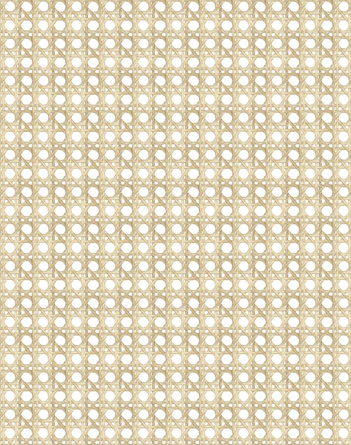 Wallshoppe Faux Caning Wallpaper - Peel and Stick Self-Adhesive Wallpaper for Home Decor, Living Room, Bedroom & Office - Sesame Color