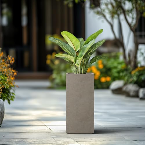 Gray Concrete