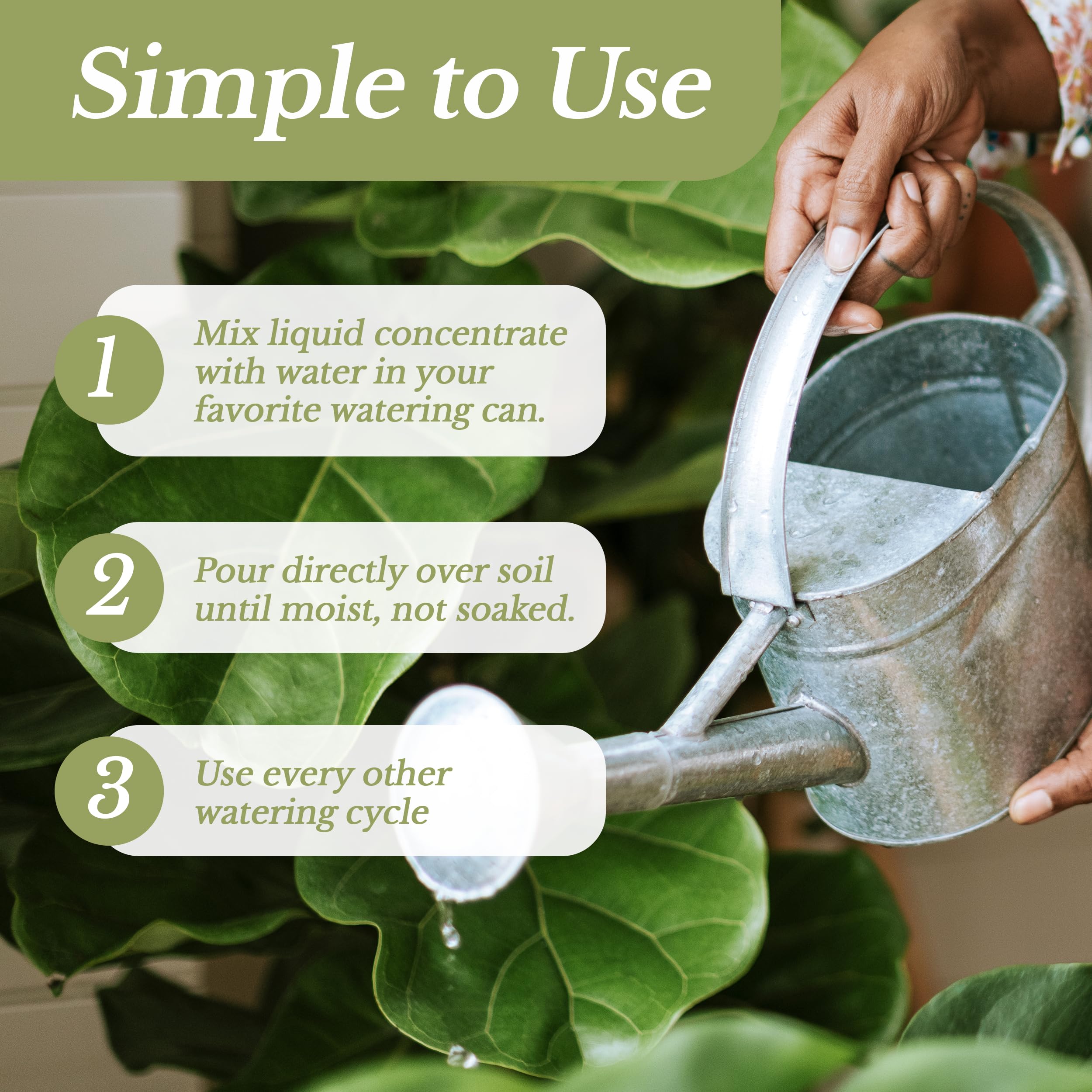 Premium Liquid Money Tree Fertilizer 3-1-2 Concentrate - All-Purpose Plant Food for Indoor & Outdoor Plants, Flowers, Trees - 8oz Bottle Gardening Supplies - Perfect for Home, Office, and Garden Use