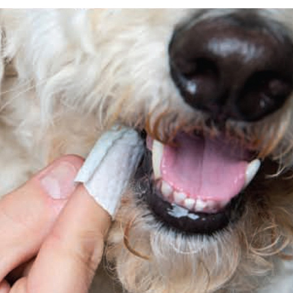 MAXI/GUARD Oral Cleansing Wipes for Dogs & Cats - Dental Hygiene Wipes for Pets, Freshens Breath & Removes Plaque - Perfect for Home & Vet Use