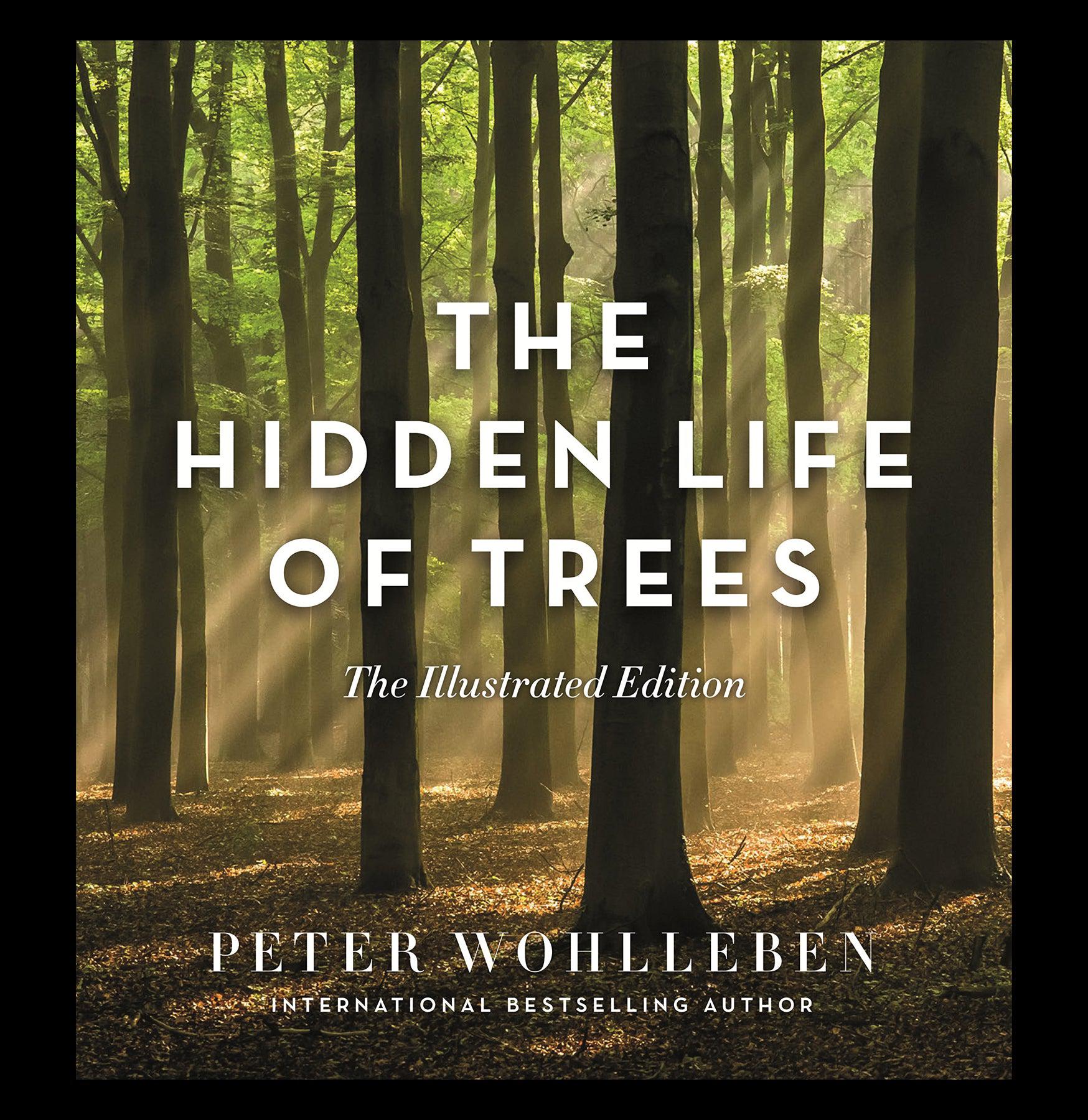 The Hidden Life of Trees: Illustrated Edition - Discover the Secret World of Forests | Perfect for Nature Lovers, Book Clubs & Educational Use