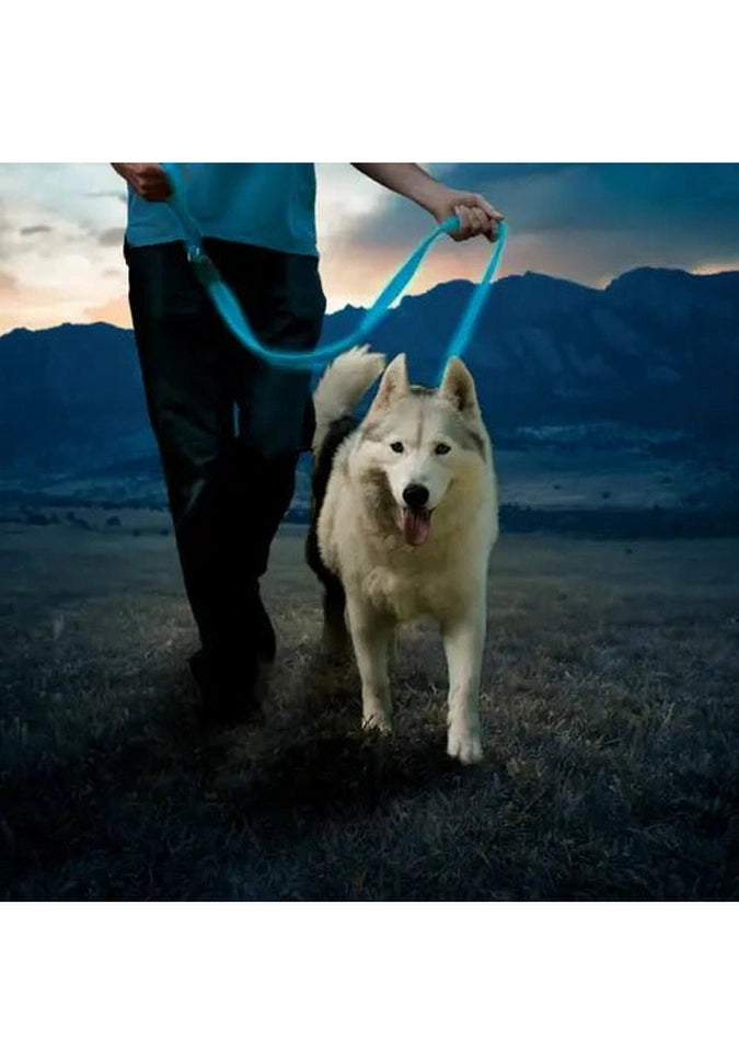 Nite Ize NITEDOG® Rechargeable LED Dog Leash - Hands-Free, Waterproof & Bright for Night Walking, Jogging & Safety | Perfect for Small, Medium & Large Dogs