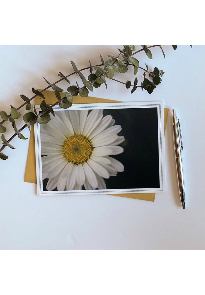 From My Angle Photography Notecards - Beautiful Photo Greeting Cards for All Occasions | Perfect for Thank You Notes, Birthday Wishes & Holiday Cards
