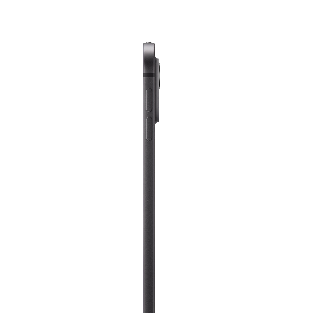 Apple iPad Pro 13-inch Wi-Fi 256GB Space Gray (M4 Chip) - Premium Tempered Glass Protection for Work & Creative Projects